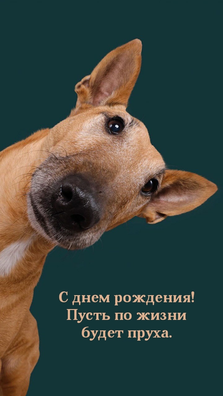 С днем рождения! Пусть по жизни будет пруха.