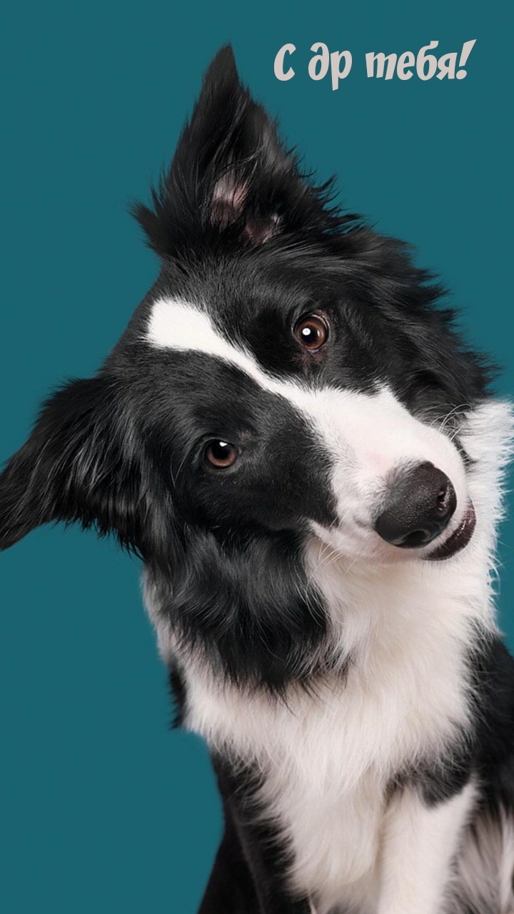 С др тебя!