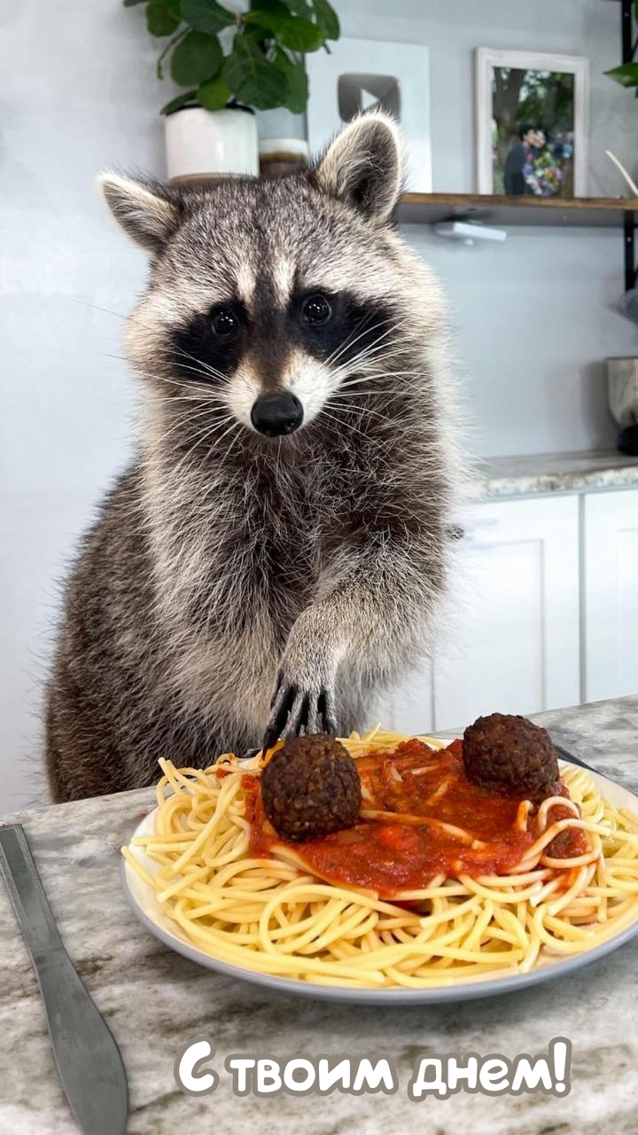 С твоим днем!