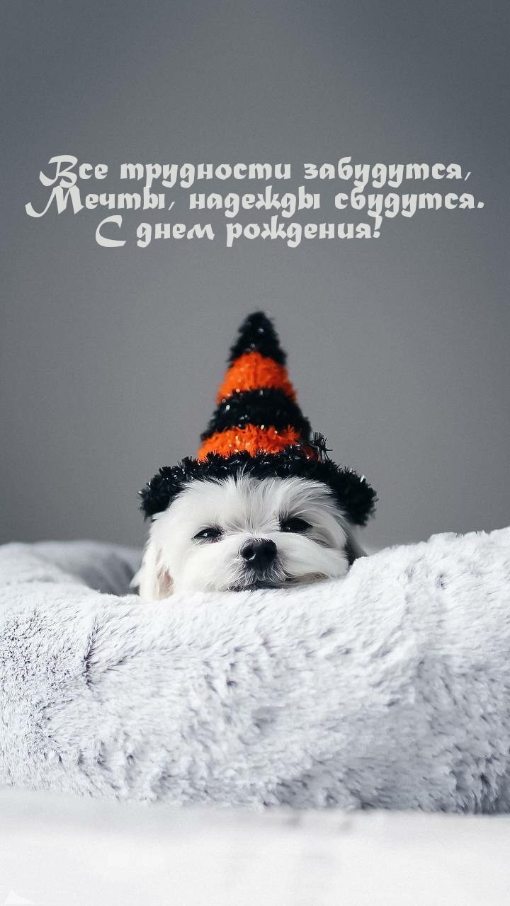 Все трудности забудутся, мечты, надежды сбудутся. С днем рождения!   