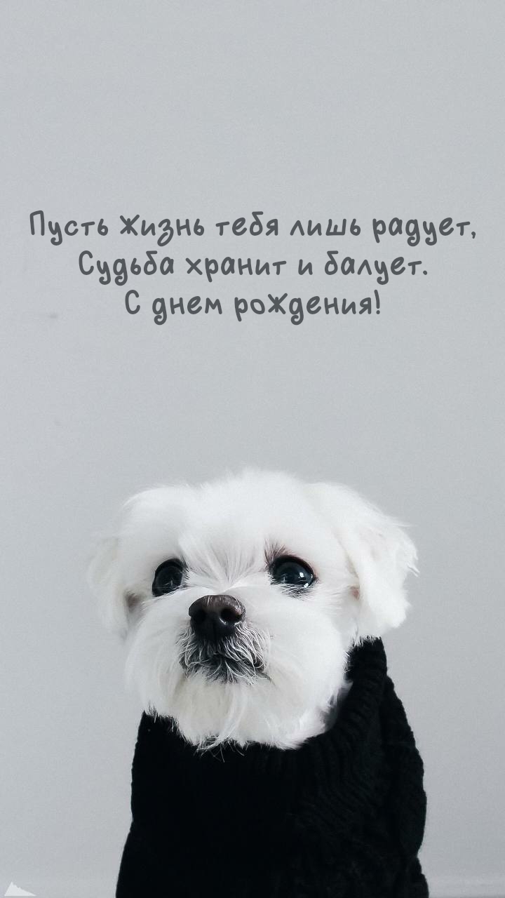 Пусть жизнь тебя лишь радует, судьба хранит и балует.  