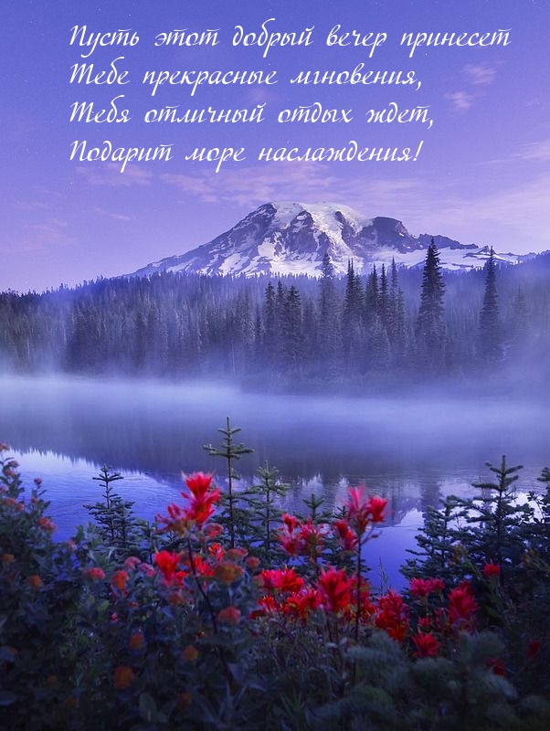 Пусть этот добрый вечер принесет прекрасные мгновения
