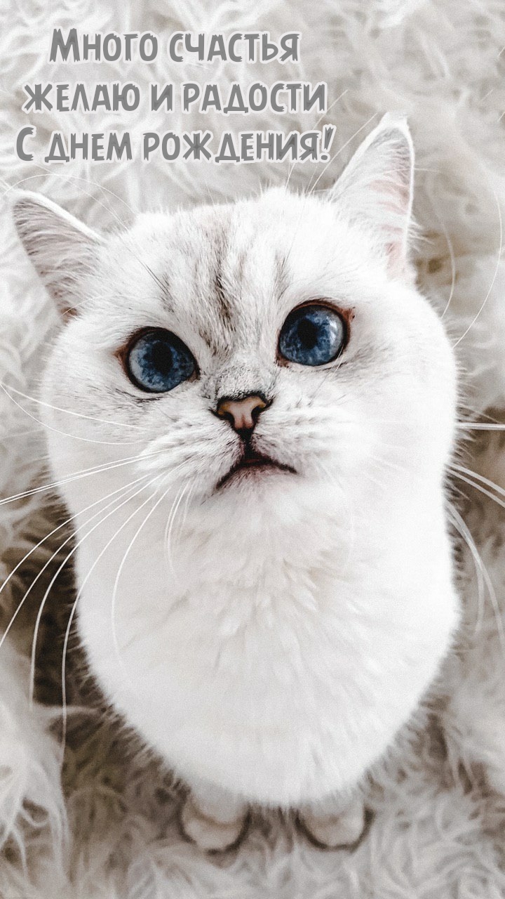 Много счастья желаю и радости с днем рождения!