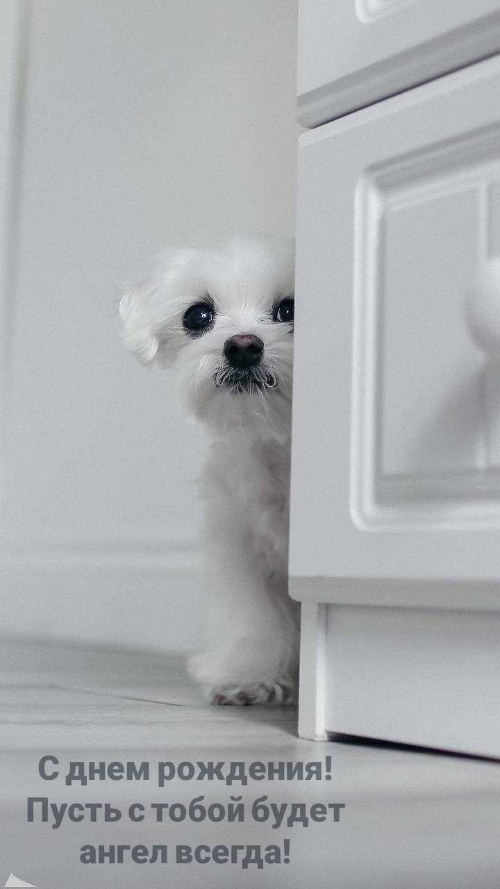 С днем рождения! Пусть с тобой будет ангел всегда!