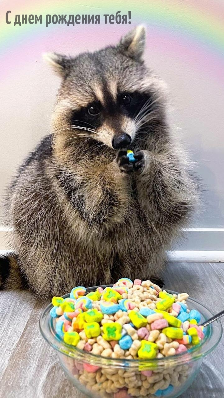 С днем рождения тебя!