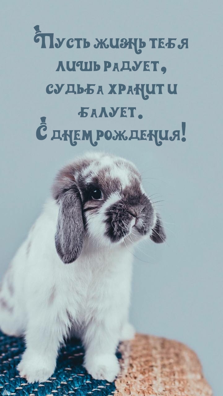 Пусть жизнь тебя лишь радует, судьба хранит и балует.