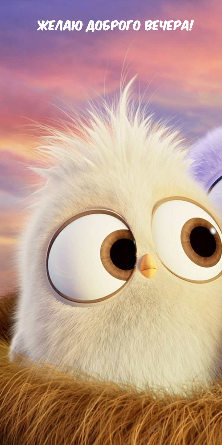Желаю доброго вечера!