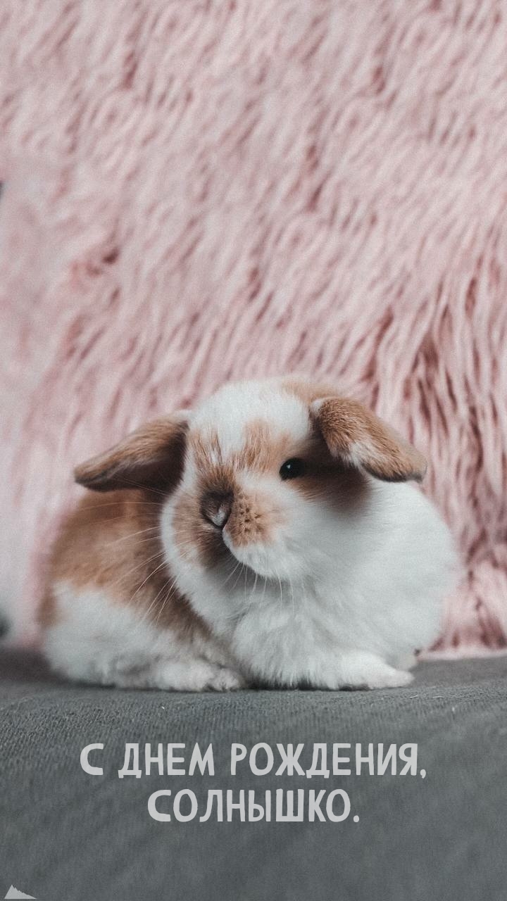 С днем рождения, солнышко.