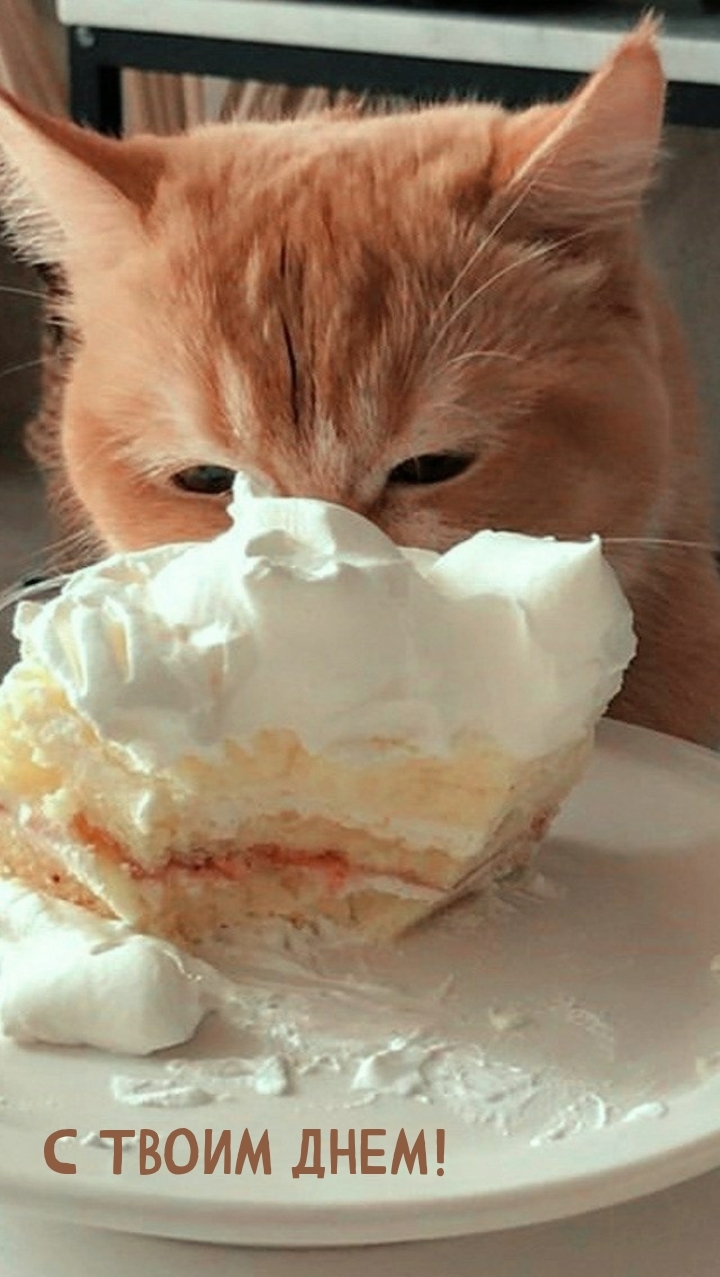 С твоим днем!