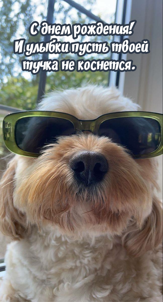 С днем рождения! И улыбки пусть твоей тучка не коснется. 