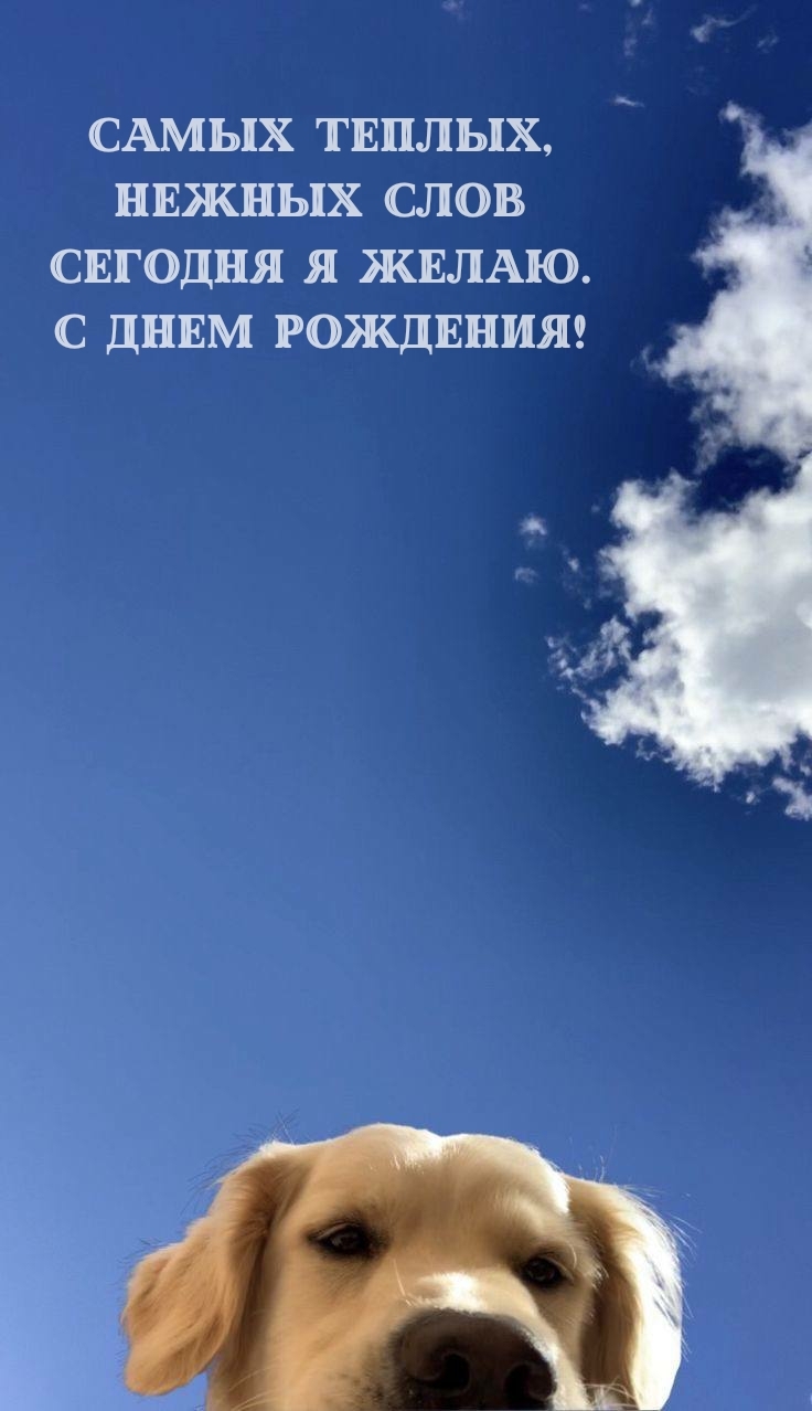 Самых теплых, нежных слов сегодня я желаю. С днем рождения!
