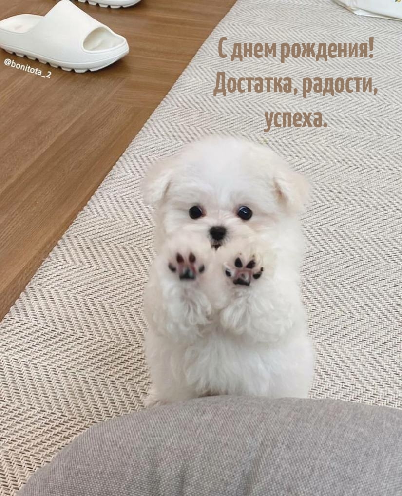 С днем рождения! Достатка, радости, успеха.