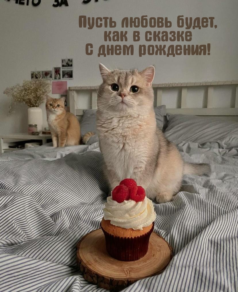 Пусть любовь будет, как в сказке с днем рождения!