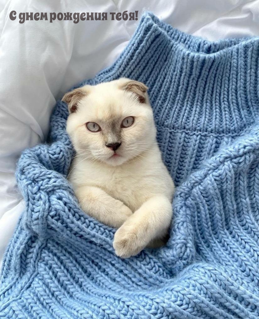 С днем рождения тебя!