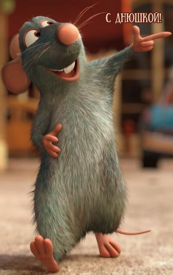 С днюшкой!