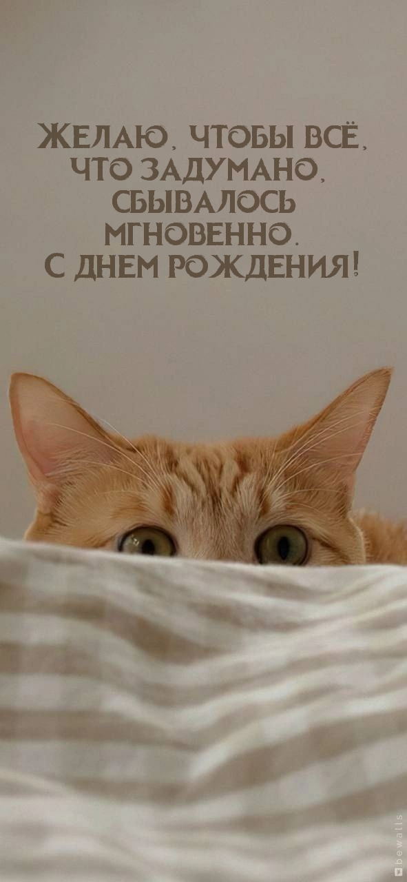 Желаю, чтобы всё, что задумано, сбывалось мгновенно.