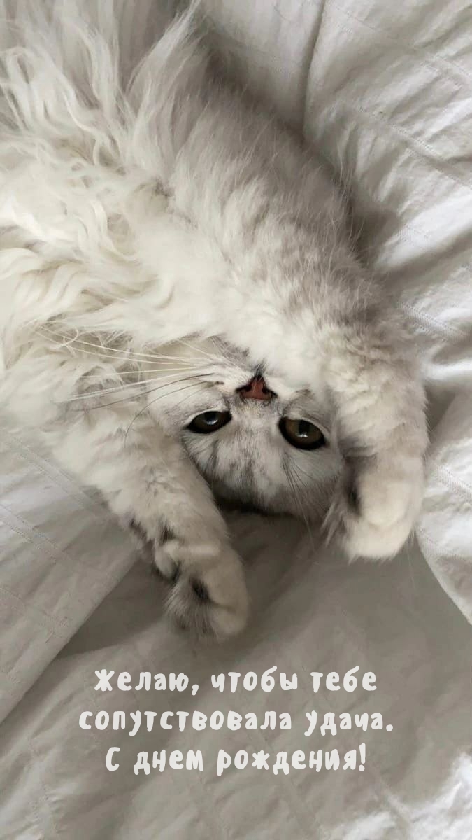 Желаю, чтобы тебе сопутствовала удача. С днем рождения!