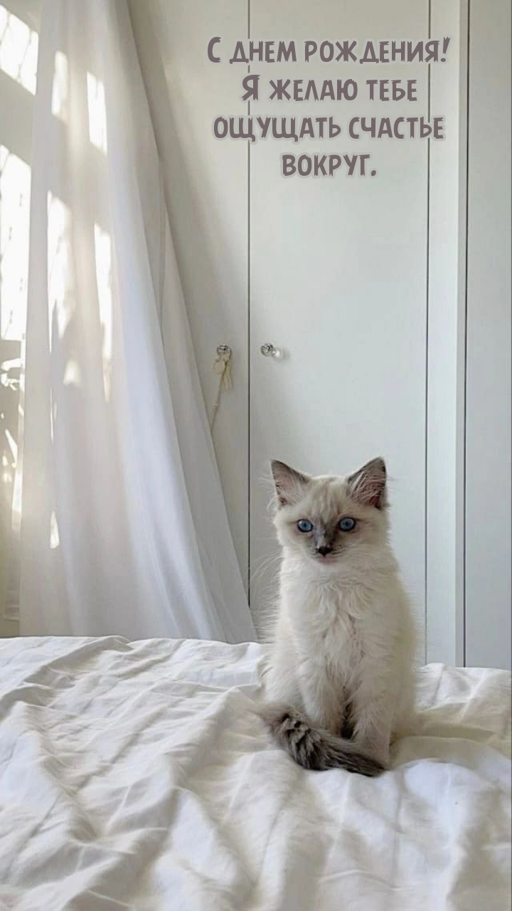 С днем рождения! Я желаю тебе ощущать счастье вокруг.