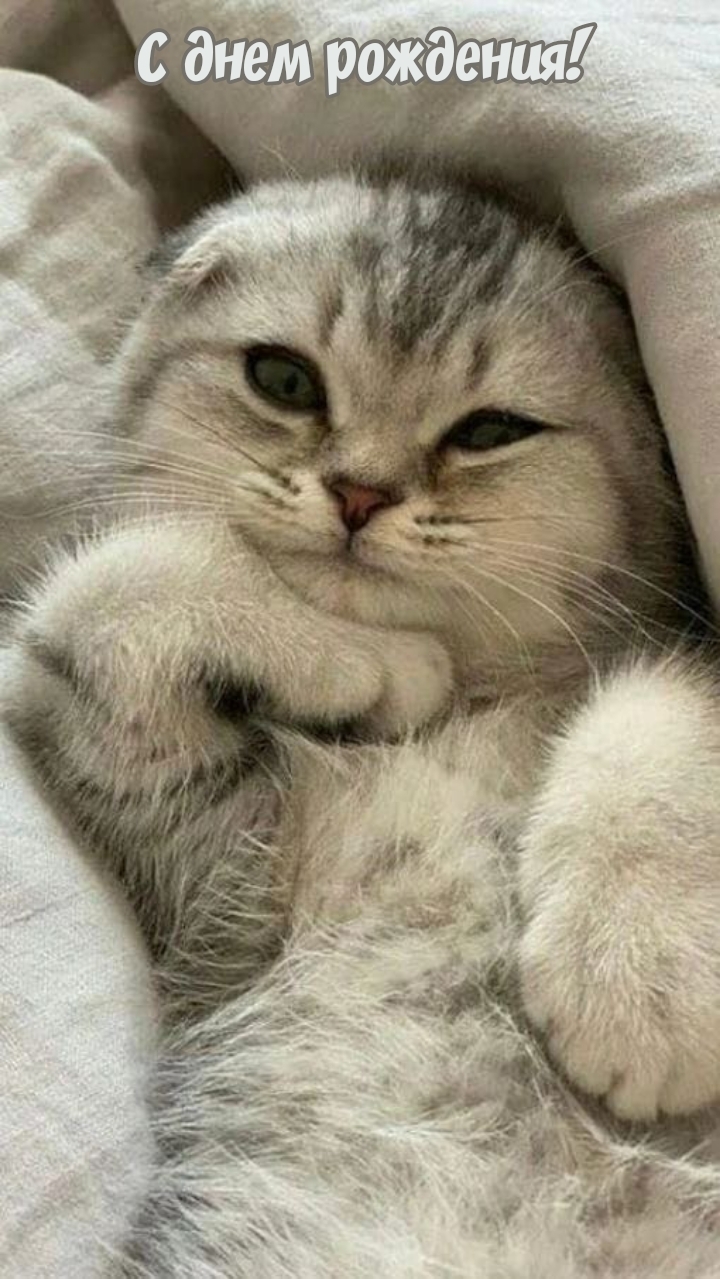 С днем рождения!