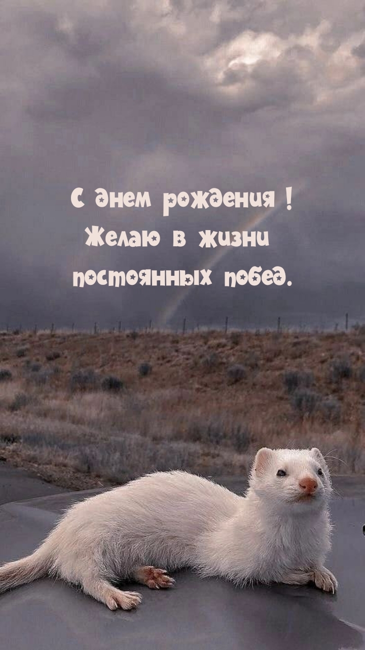 С днем рождения! Желаю в жизни постоянных побед.