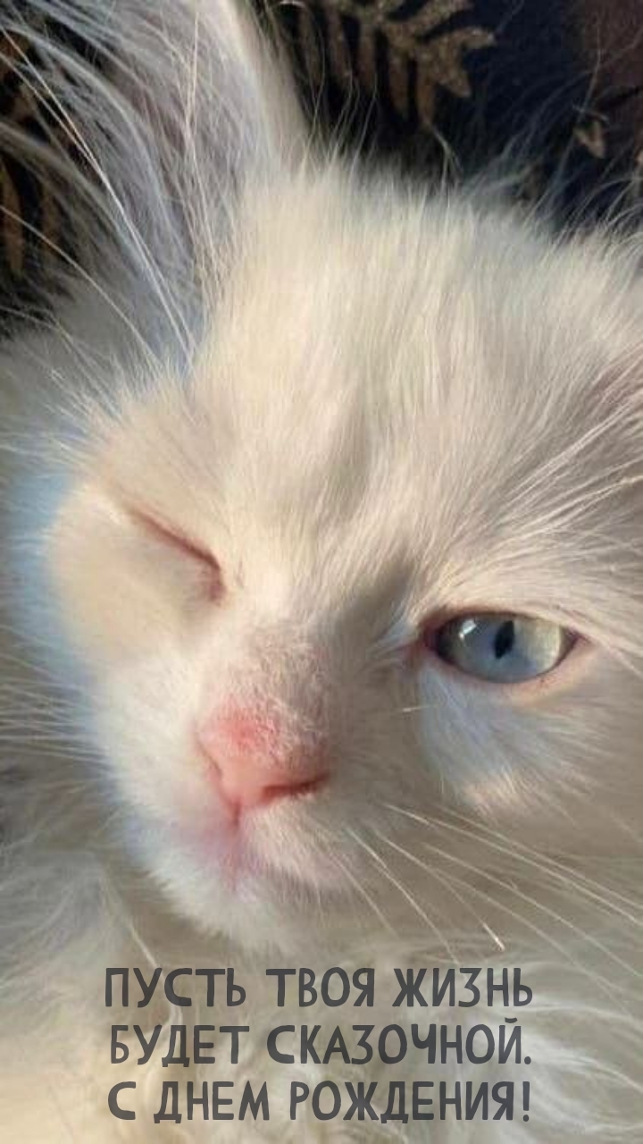 Пусть твоя жизнь будет сказочной. С днем рождения!