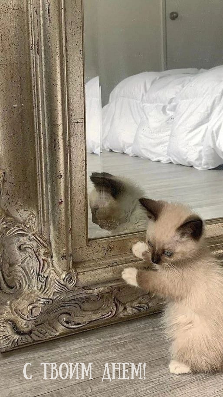 С твоим днем!