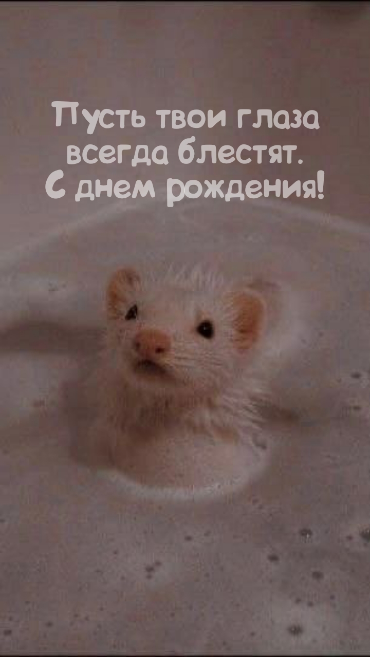 Пусть твои глаза всегда блестят. С днем рождения!
