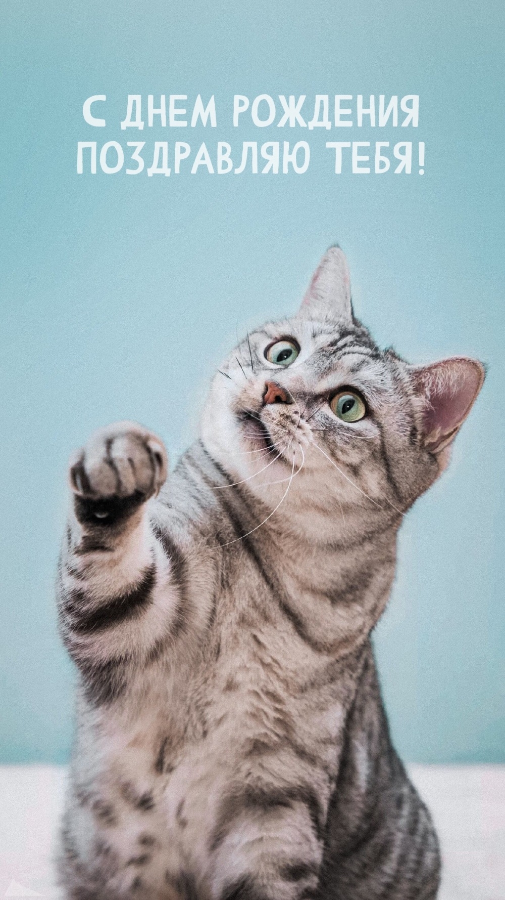 С днем рождения поздравляю тебя!