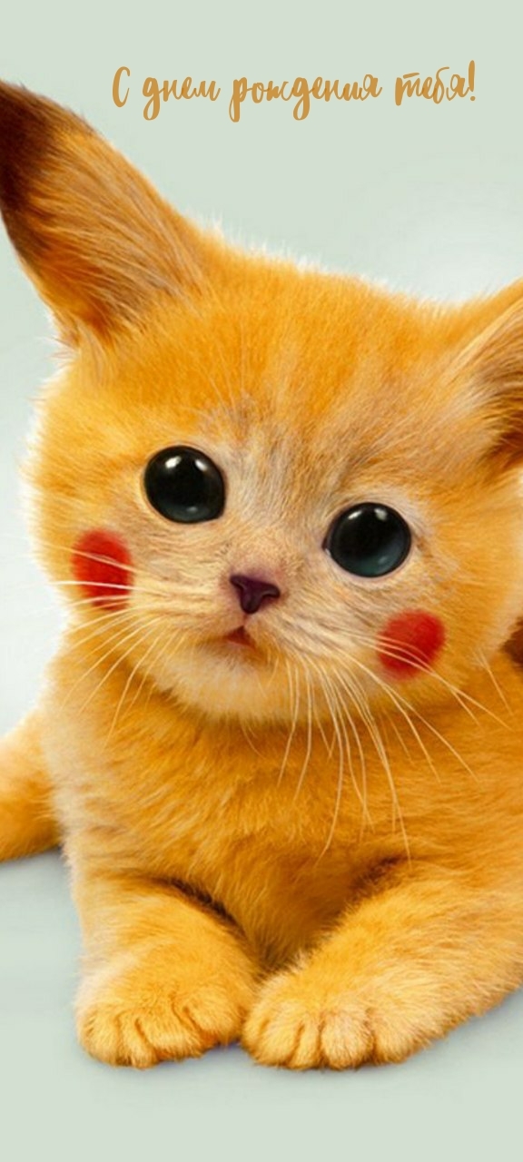 С днем рождения тебя!