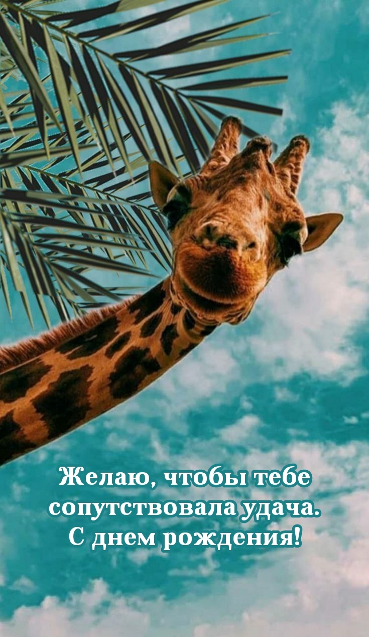 Желаю, чтобы тебе сопутствовала удача. С днем рождения!