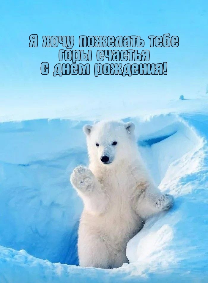 Я хочу пожелать тебе горы счастья С днем рождения!