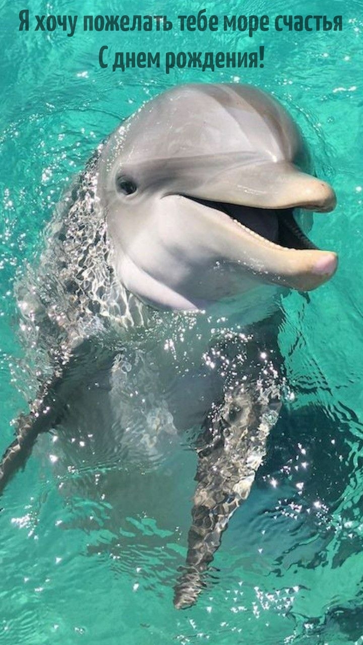 Я хочу пожелать тебе море счастья С днем рождения!