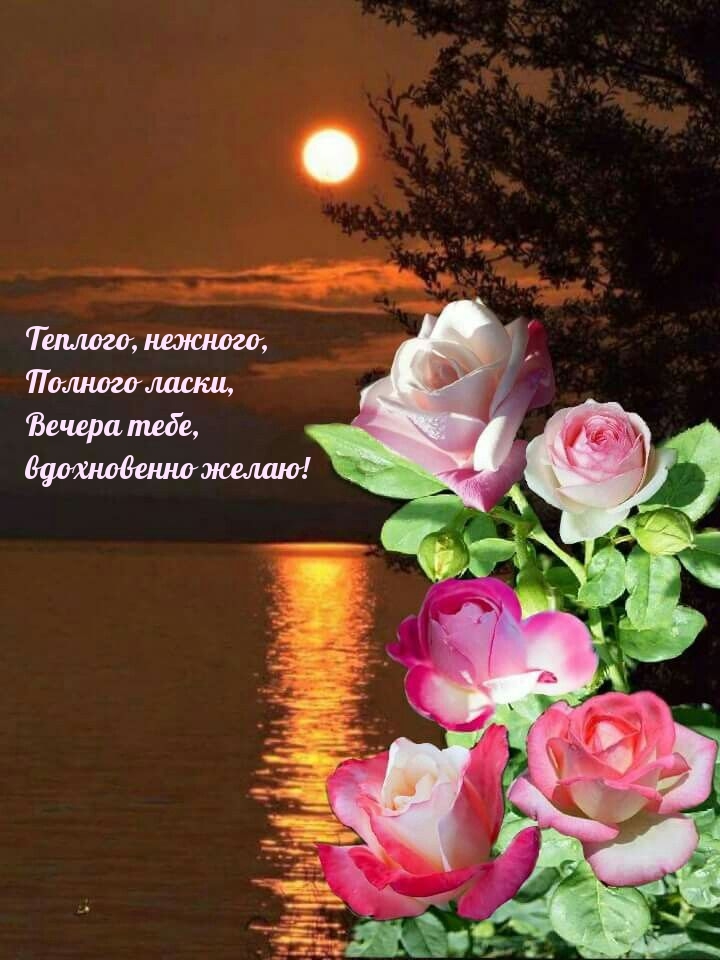 Теплого, нежного, полного ласки, вечера тебе