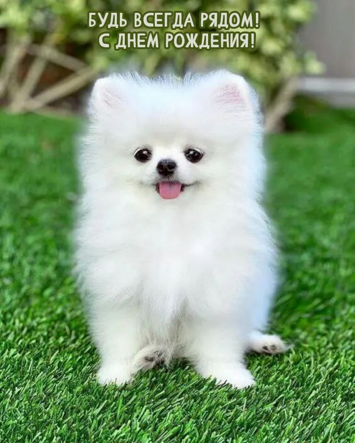 Будь всегда рядом! С днем рождения!