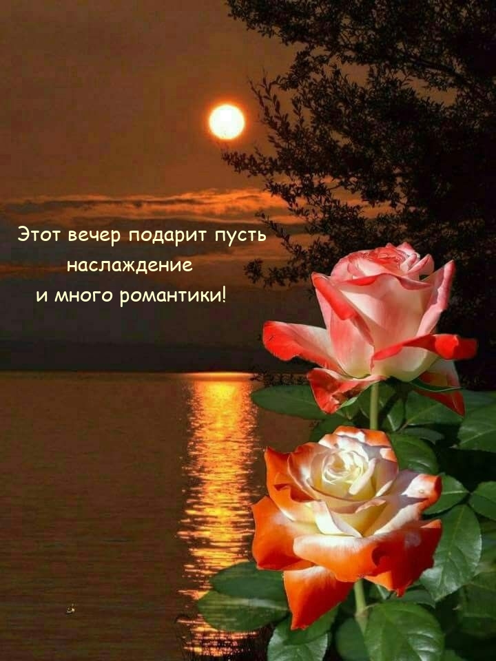 Этот вечер подарит пусть наслаждение и много романтики!