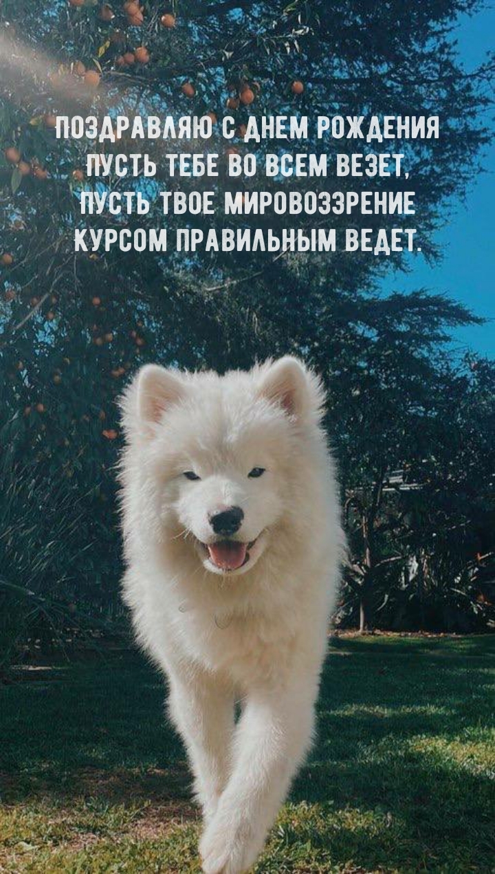 Поздравляю с днем рождения пусть тебе во всем везет
