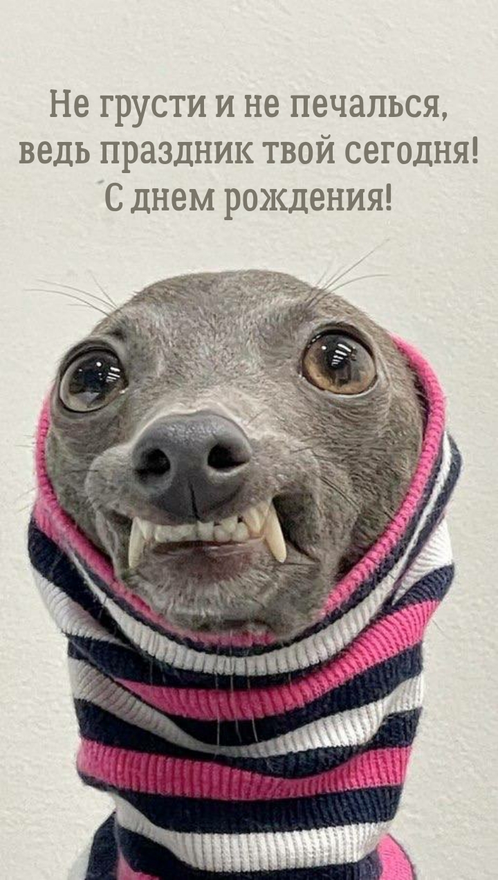 Не грусти и не печалься, ведь праздник! С днем рождения!