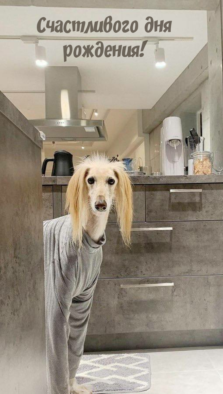 Счастливого дня рождения!