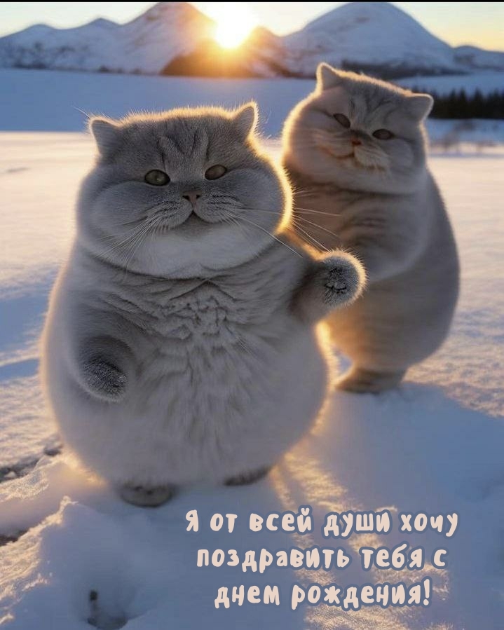 Я от всей души хочу поздравить тебя с днем рождения!