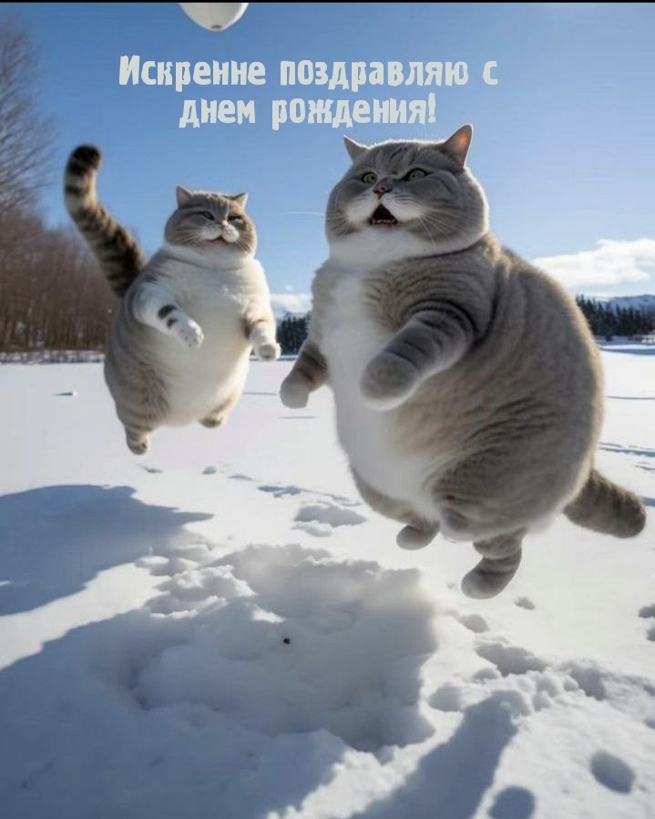 Искренне поздравляю с днем рождения!