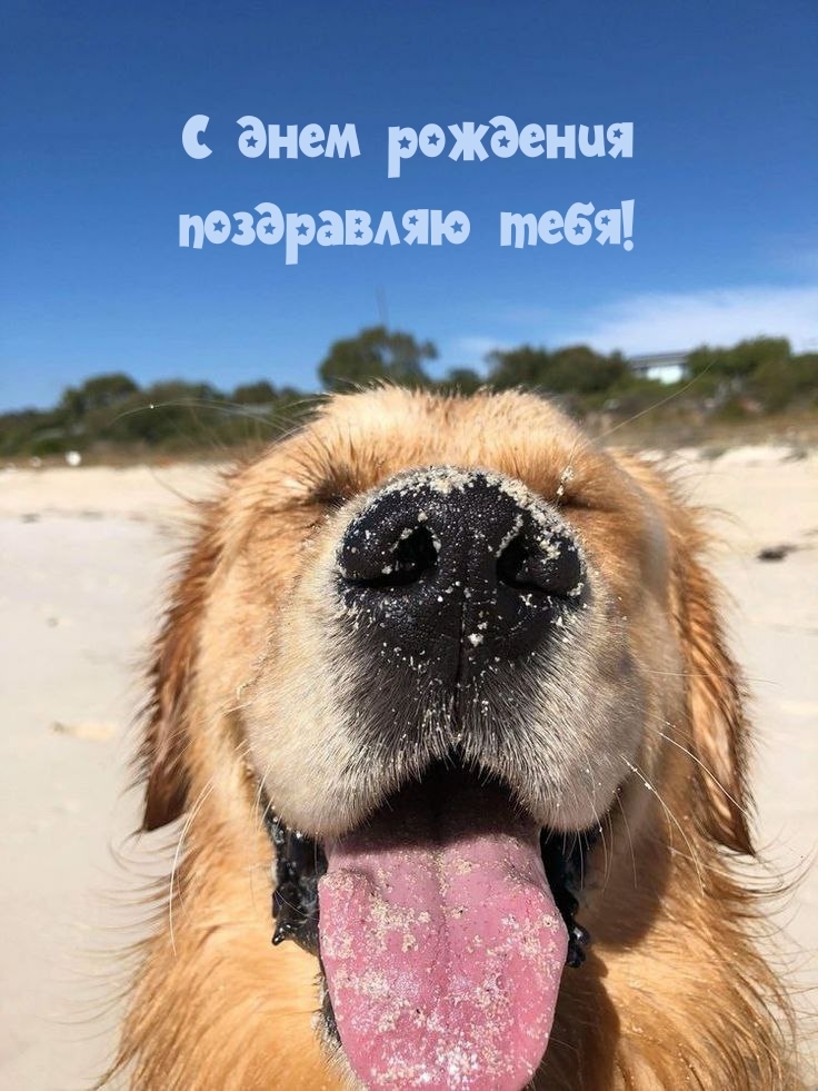 С днем рождения поздравляю тебя!