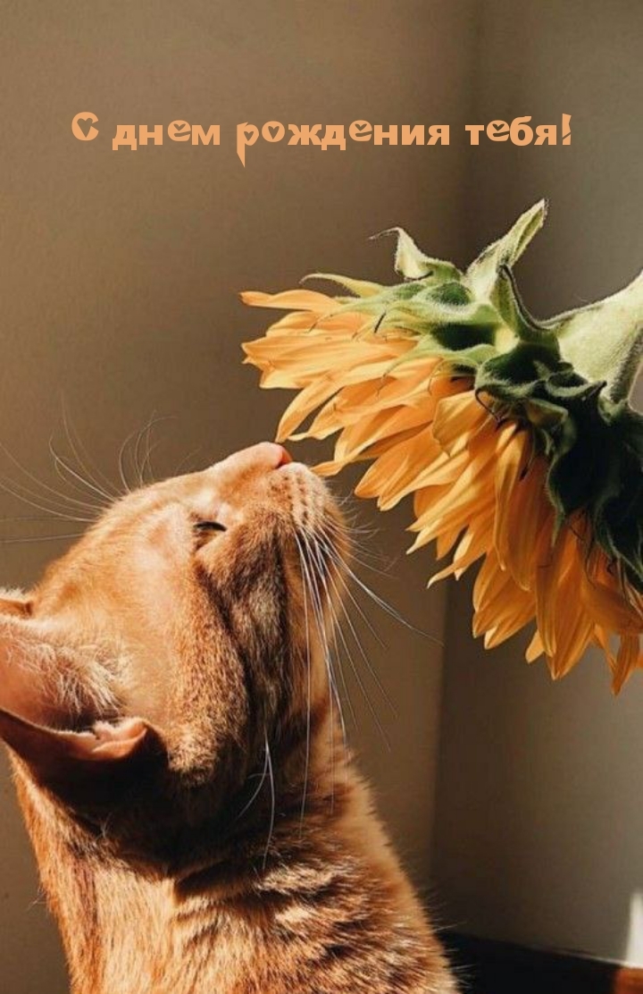 С днем рождения тебя!