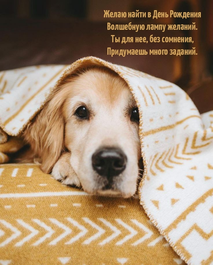 Желаю найти в День Рождения Волшебную лампу желаний.