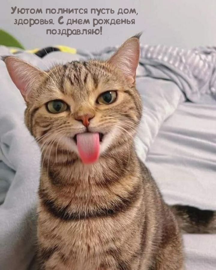 Уютом полнится пусть дом, здоровья. С днем рожденья поздравляю!