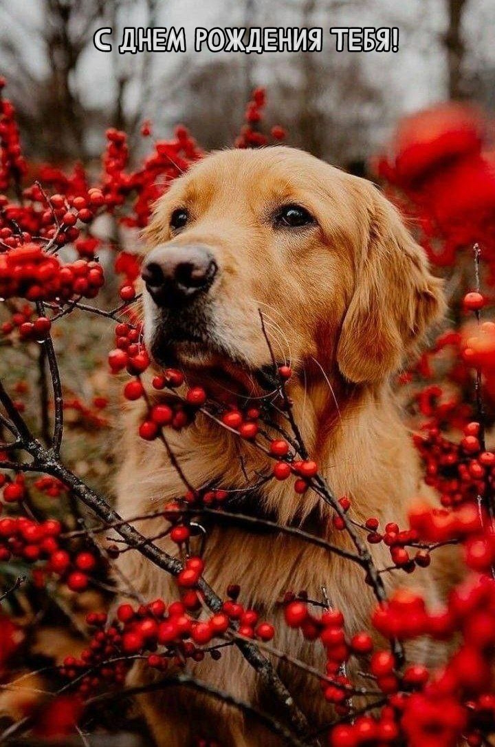 С днем рождения тебя!