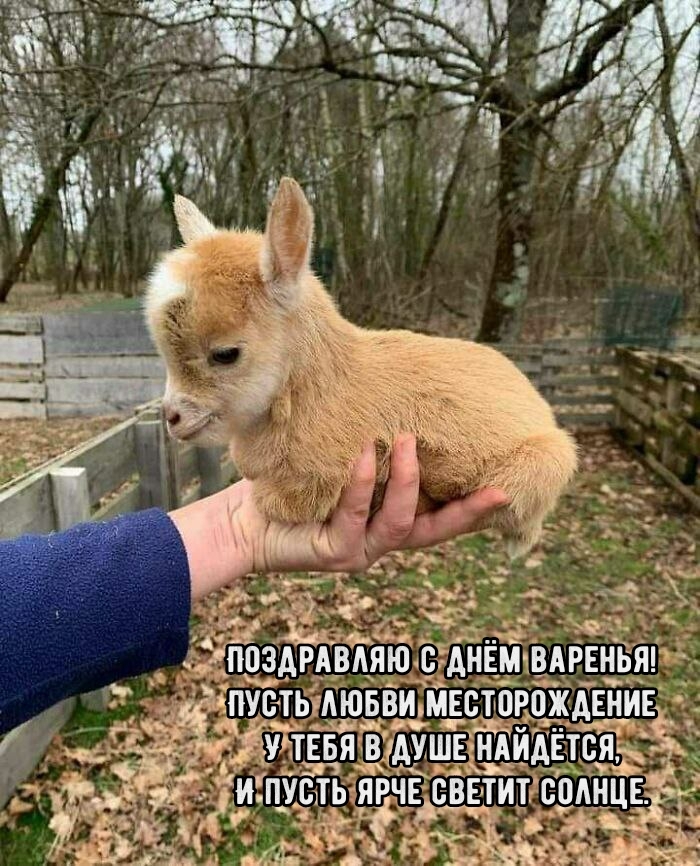 Поздравляю с днём варенья! Пусть ярче светит солнце.