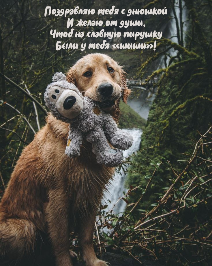 Чтоб на славную пирушку были у тебя «шиши»!