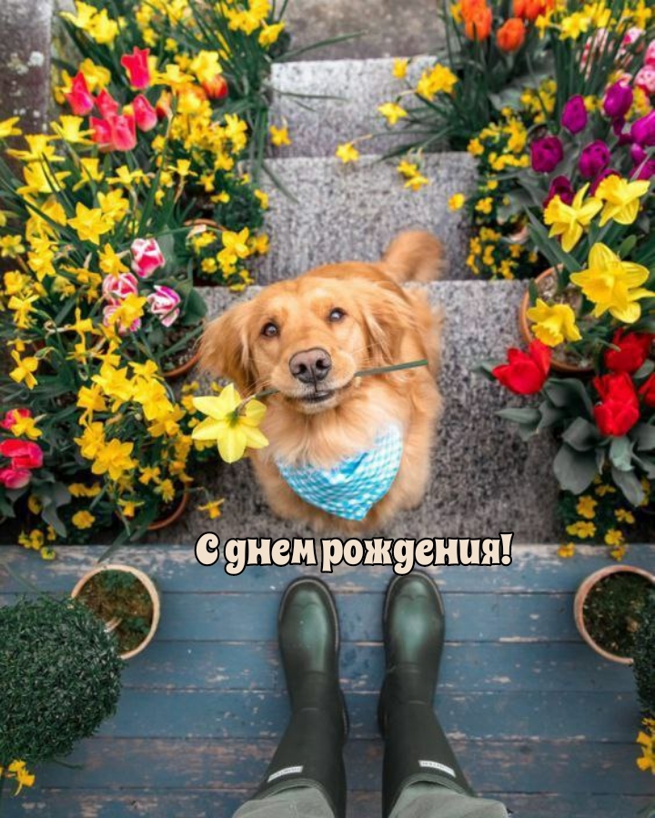 С днем рождения!