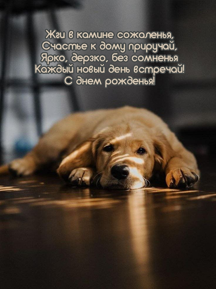 С днем рожденья! Каждый новый день встречай!