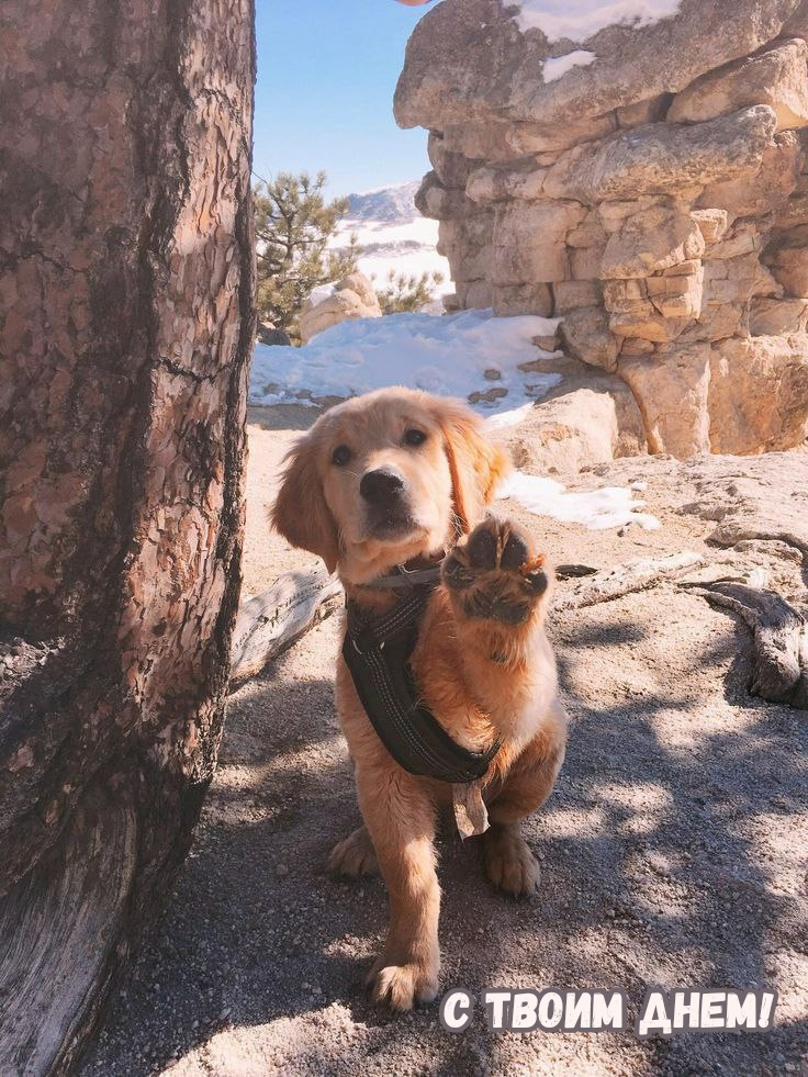 С твоим днем!